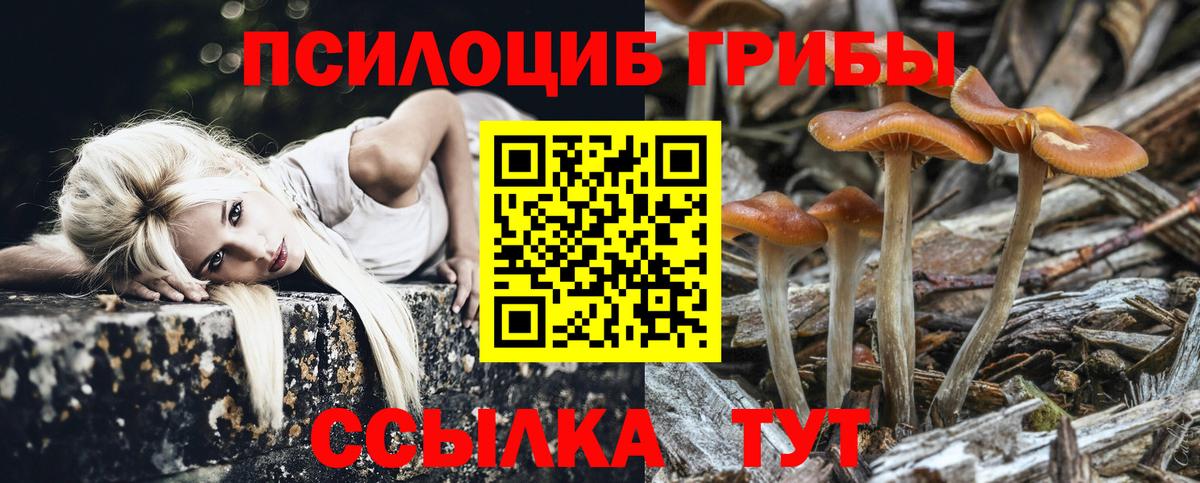 Галлюциногенные грибы Cubensis  Псилоцибиновые грибы прущие грибы  Томск  Вход с VPN 